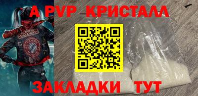 стаф Камышлов