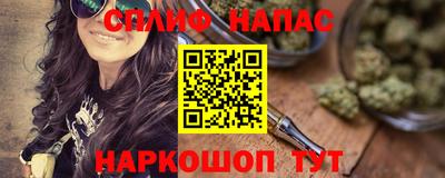 прущие крисы Кингисепп