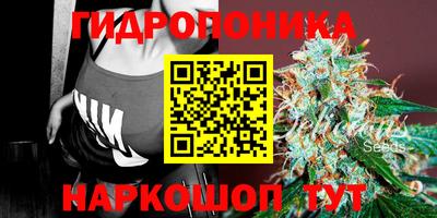 прущие крисы Кингисепп
