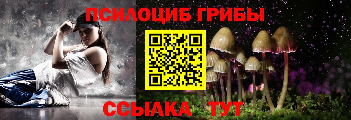 Псилоцибиновые грибы Cubensis  Вход с VPN  Галлюциногенные грибы прущие грибы  Крымск 